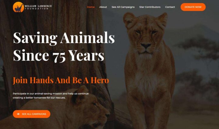 Animal Saving Welfare Website Design