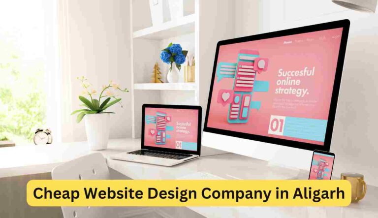 Cheap Website Design Company in Aligarh