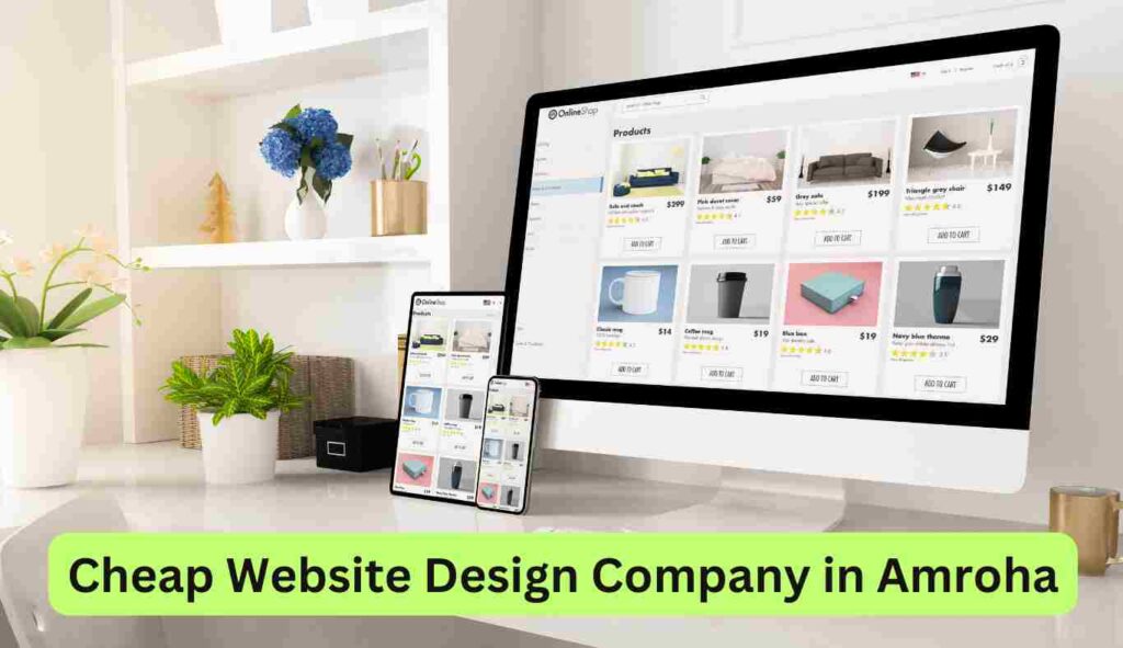 Cheap Website Design Company in Amroha