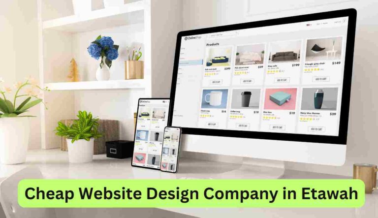 Cheap Website Design Company in Etawah