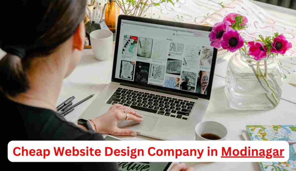 Cheap Website Design Company in Modinagar