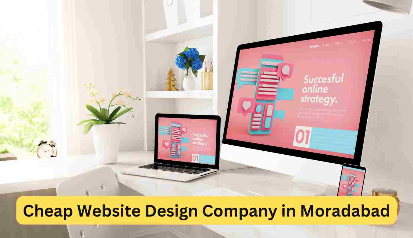 Cheap Website Design Company in Moradabad