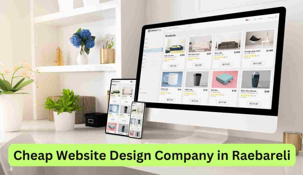 Cheap Website Design Company in Raebareli