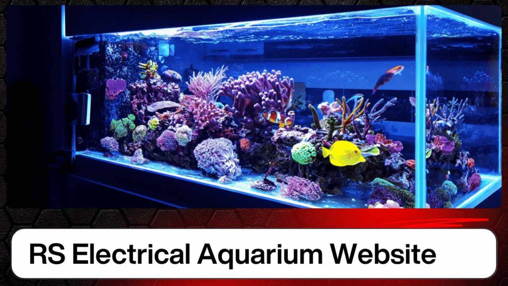 RS Electrical Aquarium Website