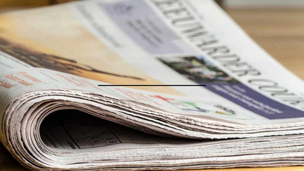 News Portal Website Designing in Delhi