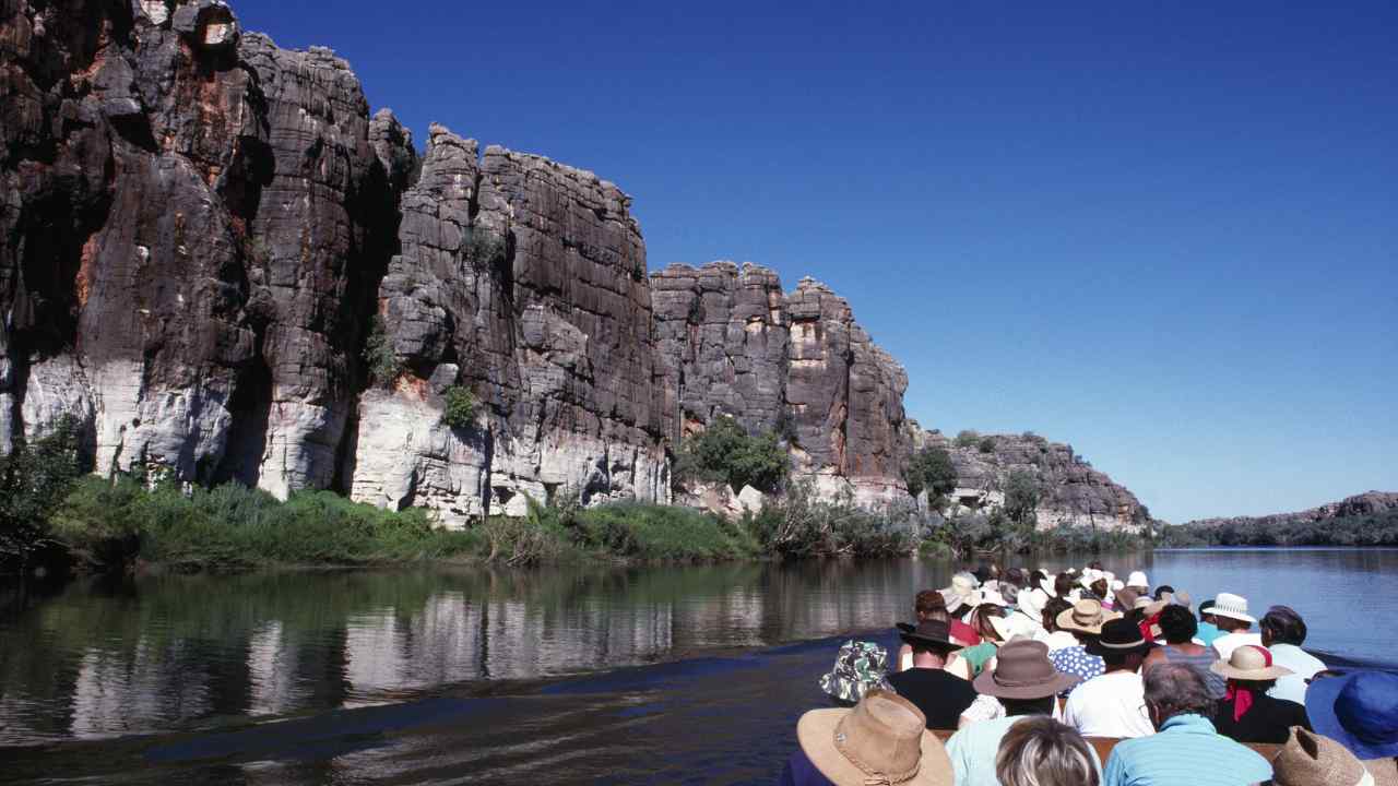 Affordable Travel & Tours Website Designing in Delhi