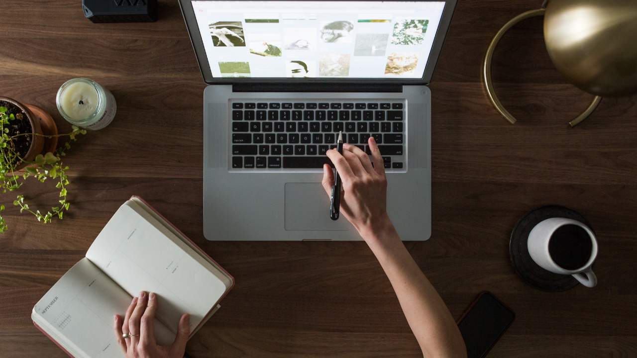 Website Designer Company in Delhi