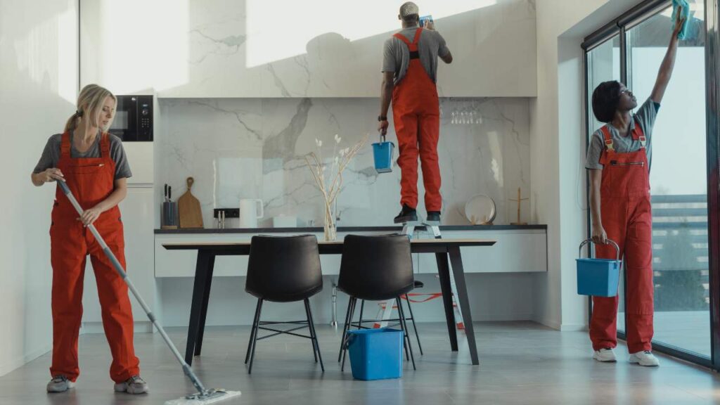 Cleaning Services Website Designing in Delhi