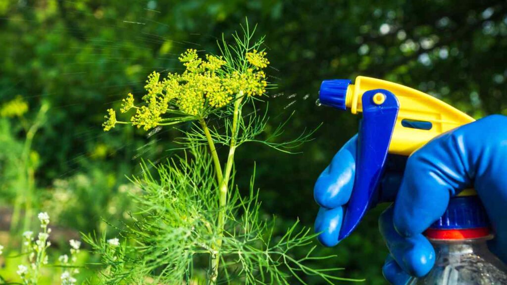Pest Control Service Website Designing in Delhi