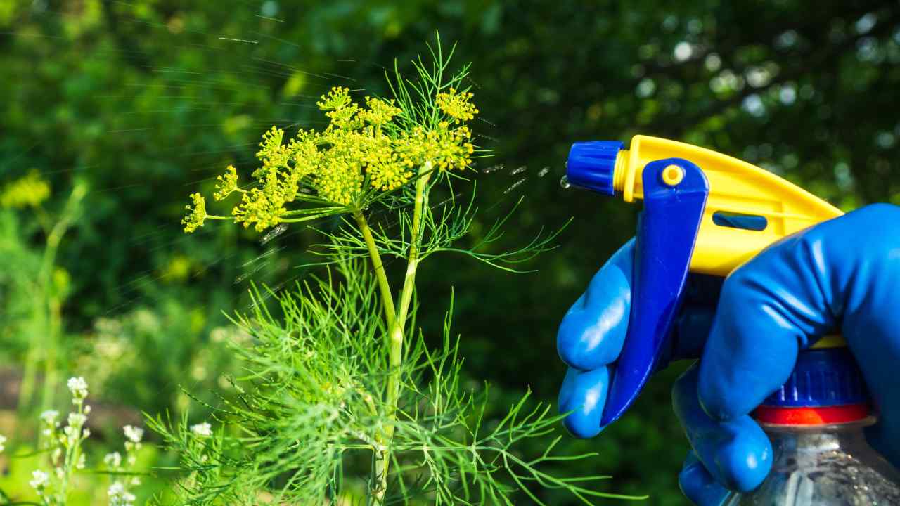Pest Control Service Website Designing in Delhi