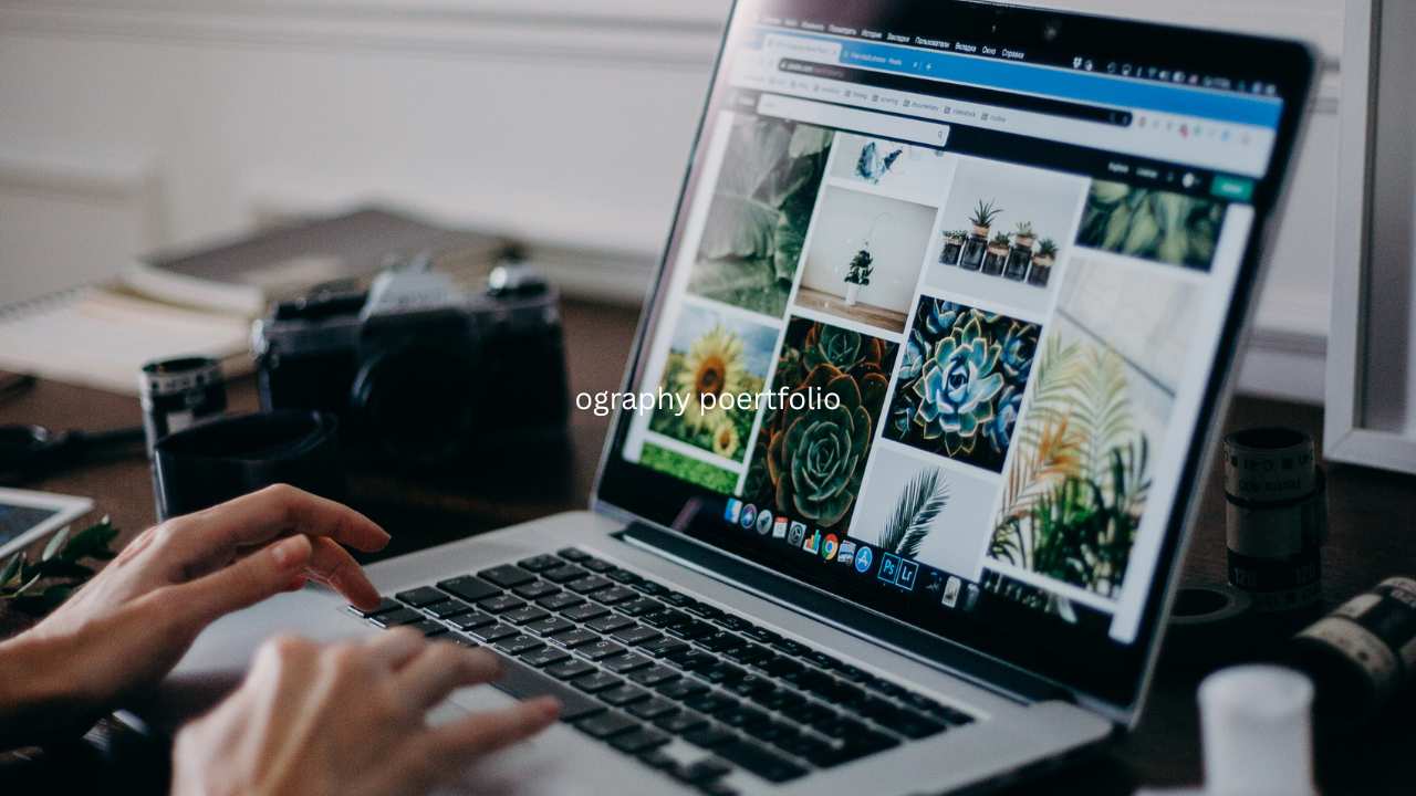 Photography Portfolio Website Designing in Delhi