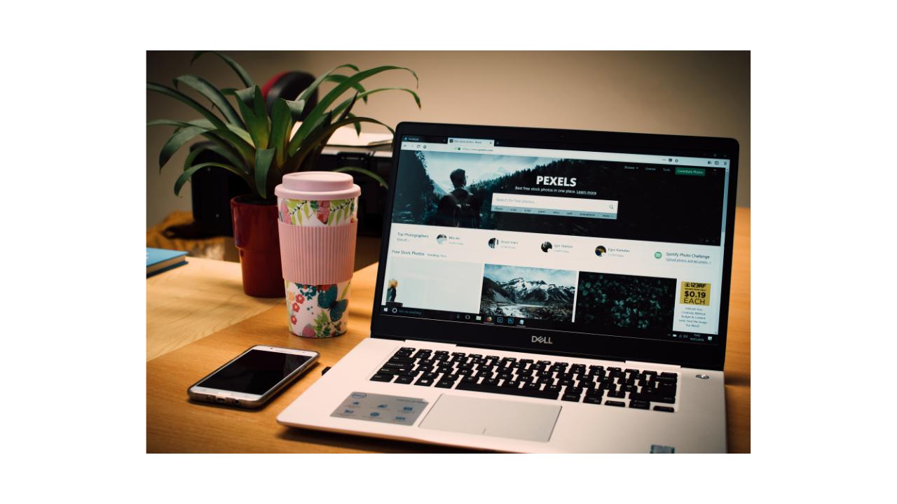 Startup Website Designing Company in Delhi