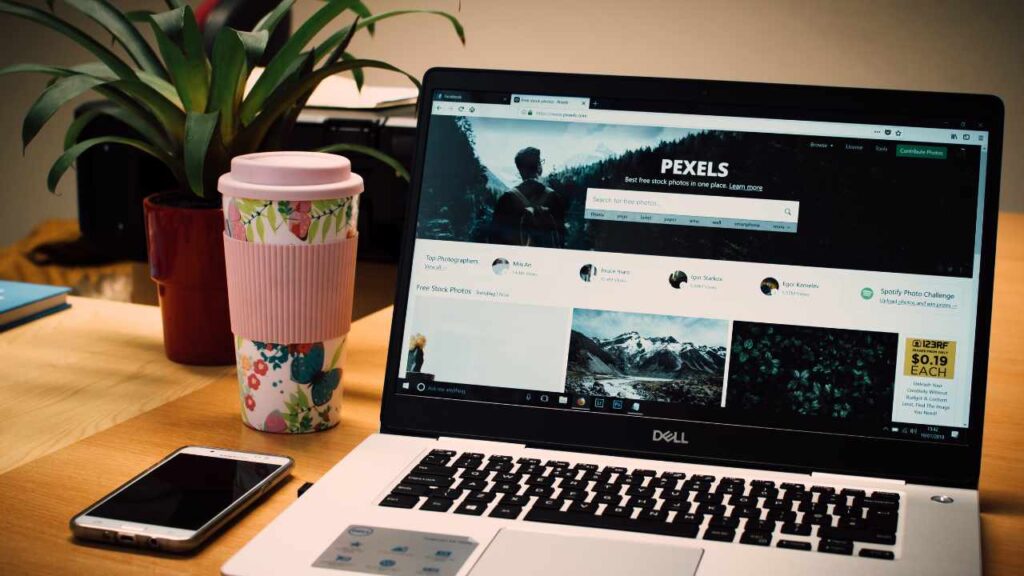 Entertainment Website Designing in Delhi