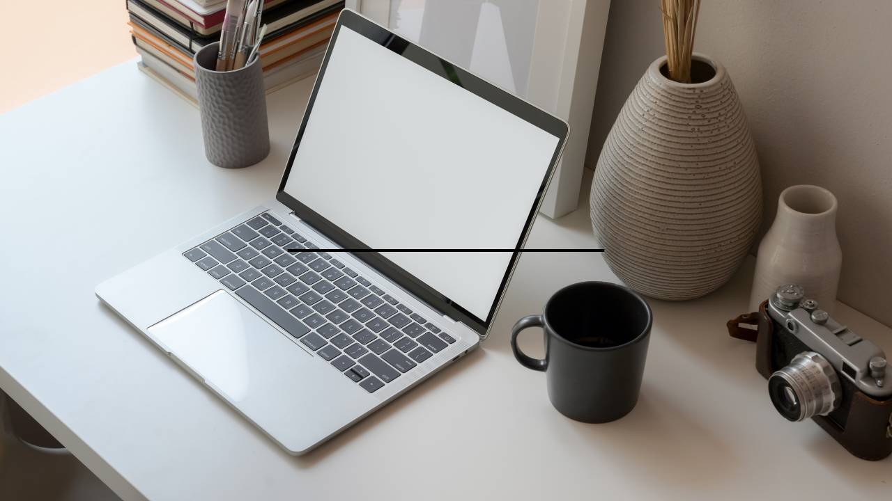 Job Portal Website Designing in Delh