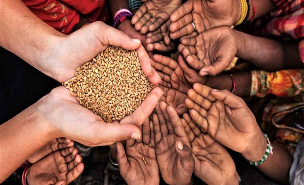 Charity/Trust Website Designing in Kolkata