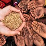 Charity/Trust Website Designing in Kolkata