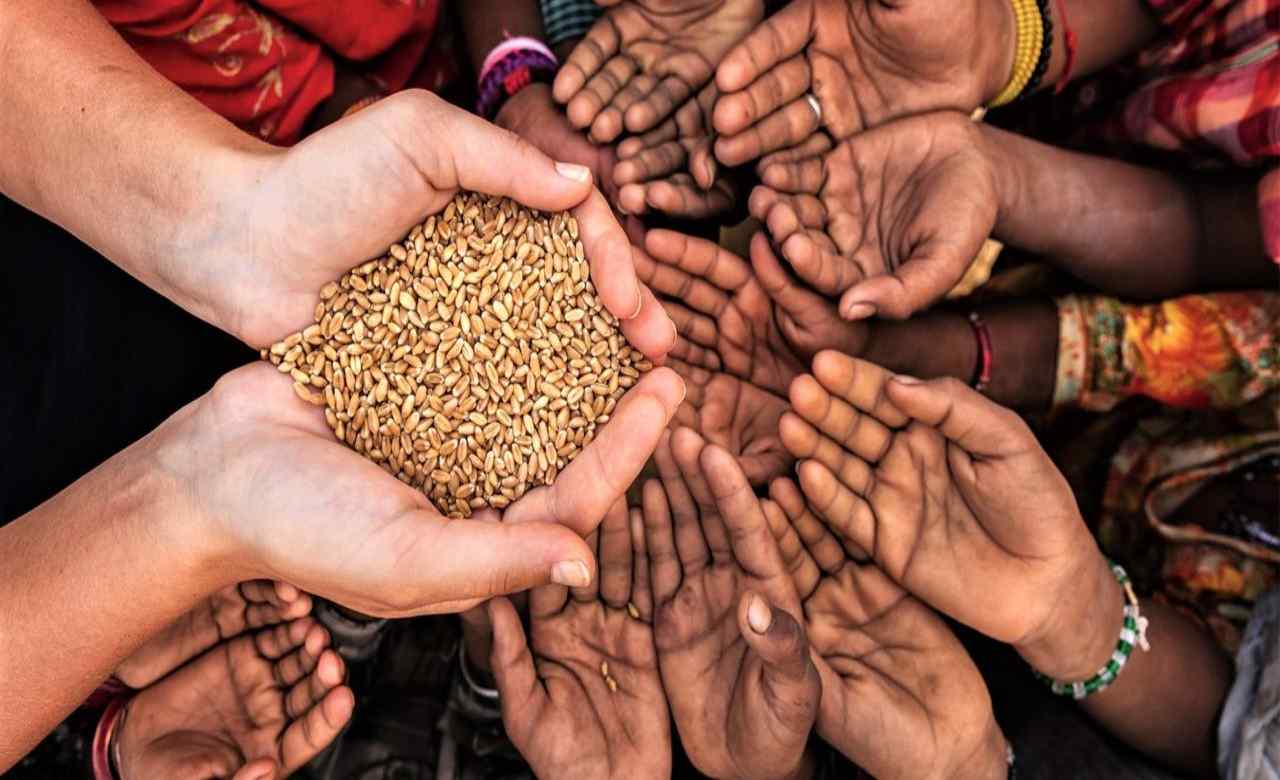 Charity/Trust Website Designing in Kolkata