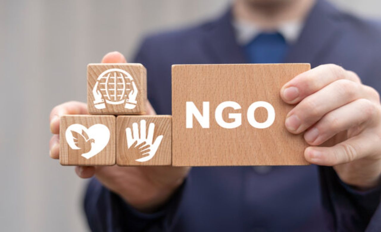 NGO for Education Website Designing in Kolkata