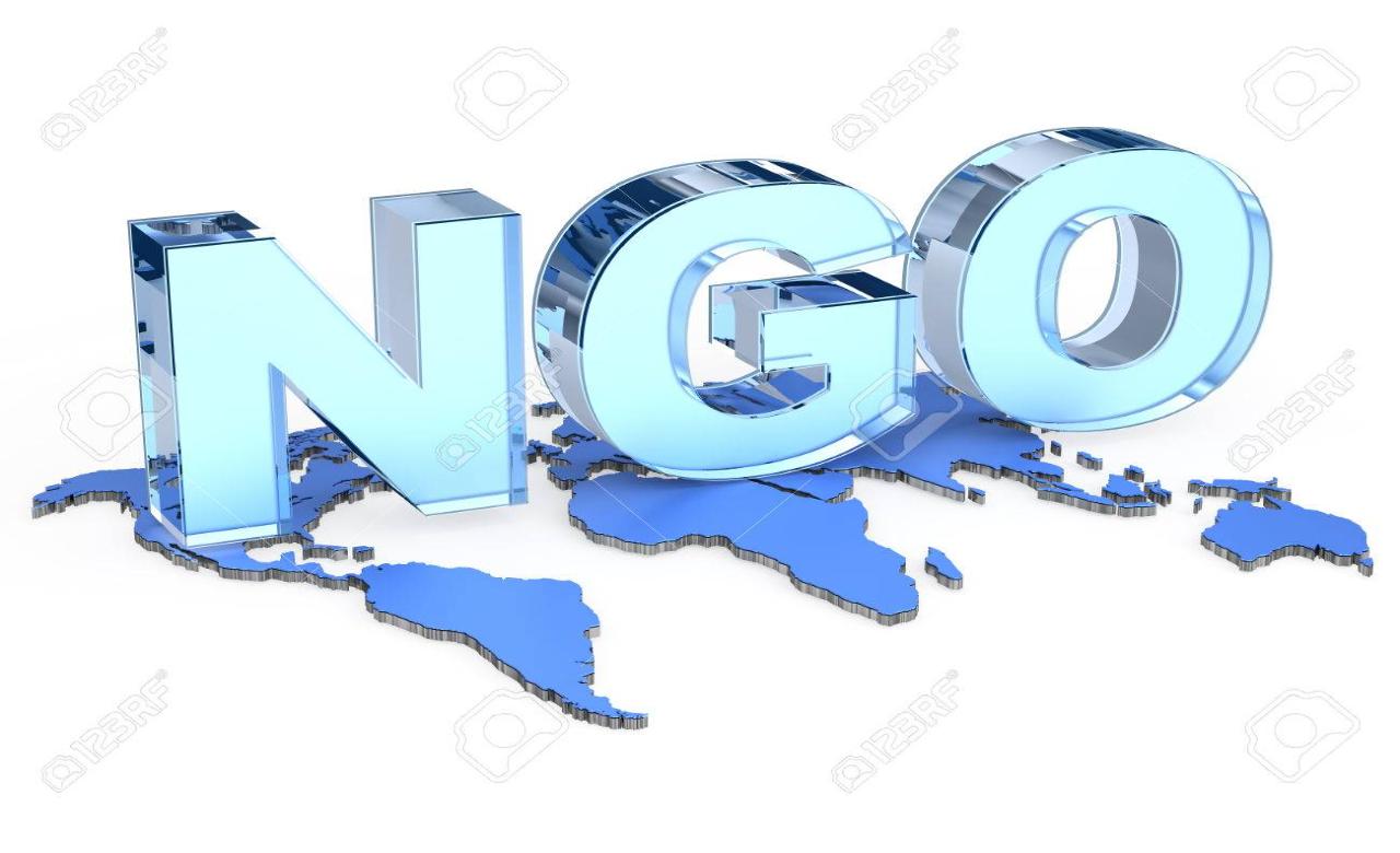 Affordable NGO Website Designing in Kolkata