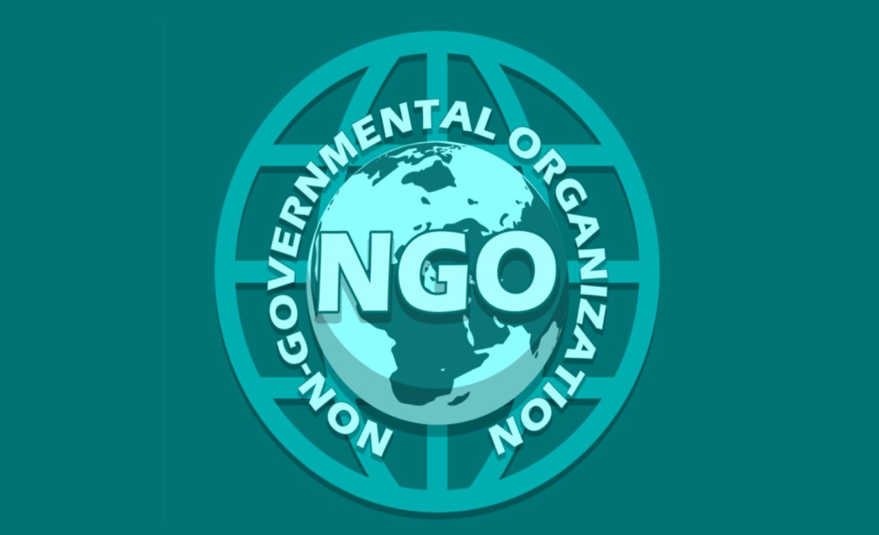 SEO-Friendly NGO Website Designing in Kolkata