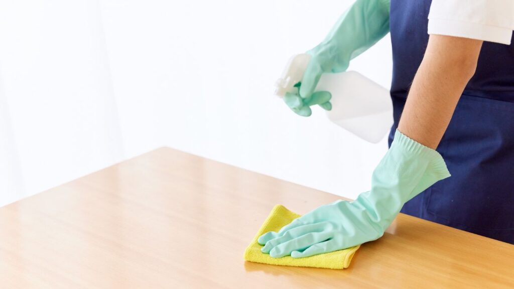 Cleaning Services Website Designing in Chennai