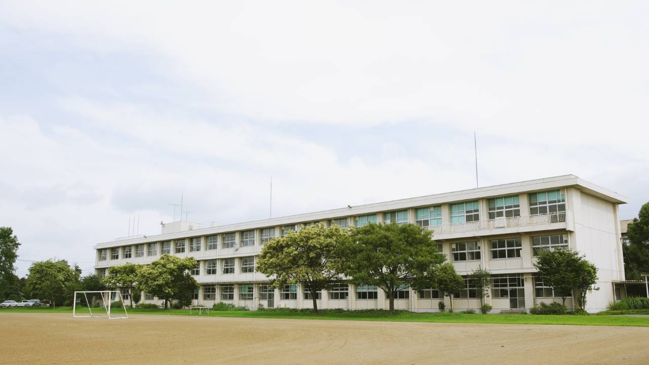 Best School Website Designing Company in Chennai