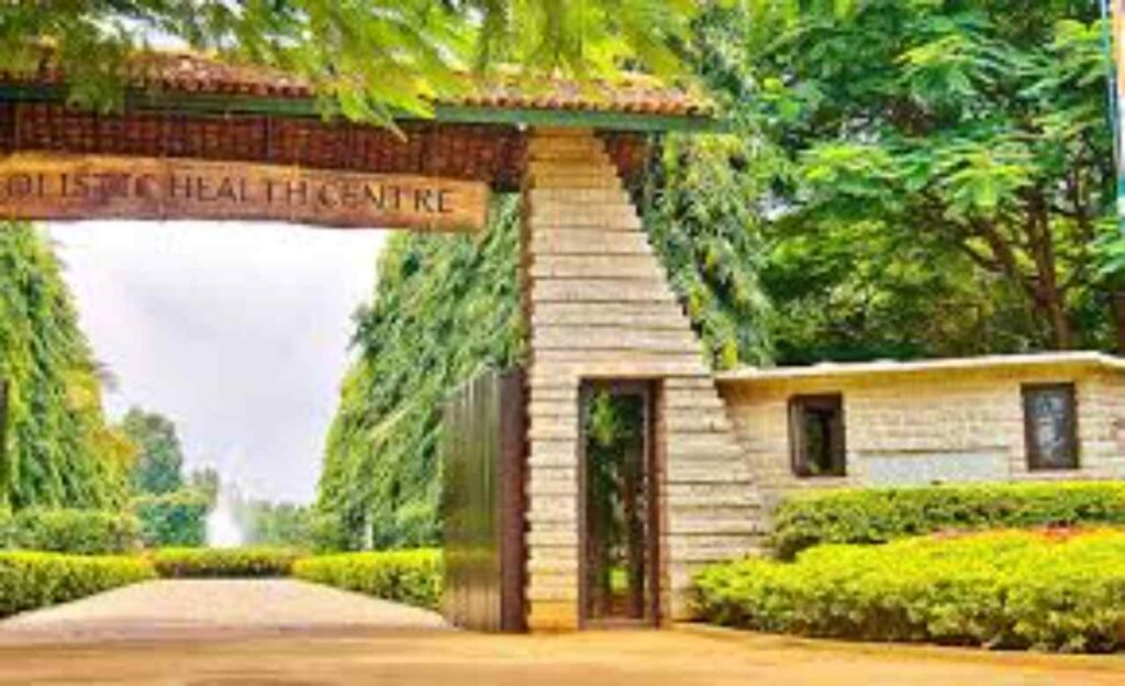 Wellness Center Website Designing in Chennai