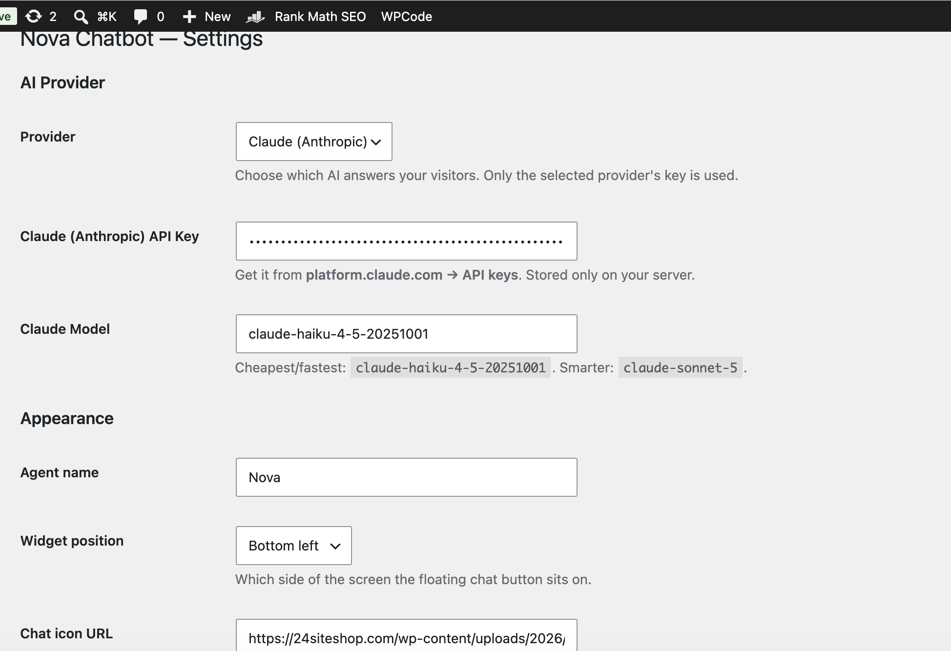 Nova AI chatbot settings — provider and API key